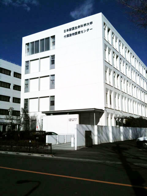 東京獣医畜産大学