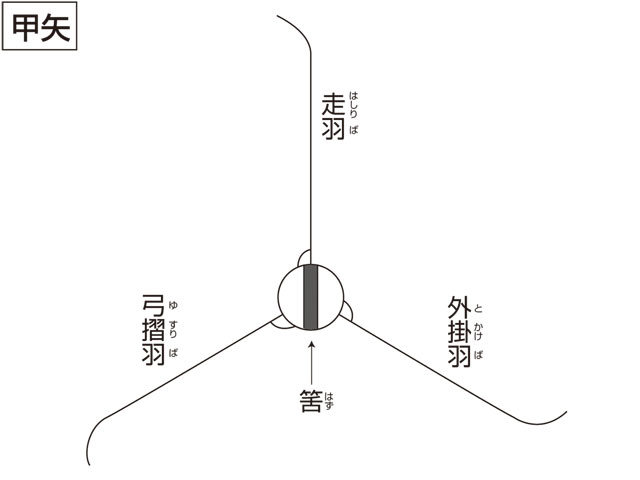 甲矢とは コトバンク