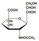 Nアセチルノイラミン酸とは コトバンク