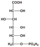 ホスホグルコン酸