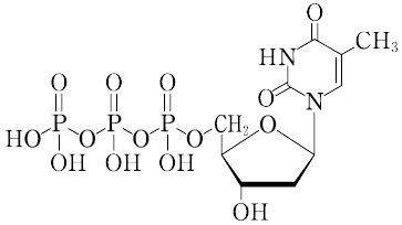 ヌクレオシド三リン酸