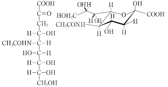 N アセチルノイラミン酸とは コトバンク
