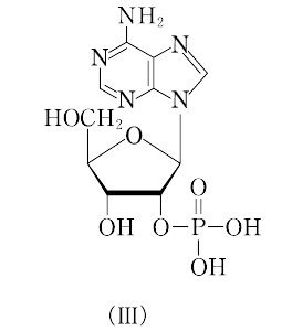 アデニル酸とは コトバンク