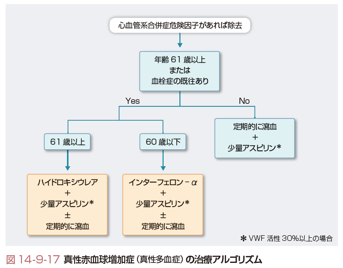 ファイナルステージの特徴