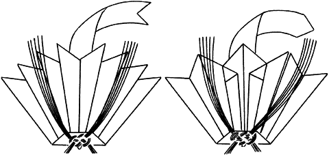 蝶花形<b>[ 一 ]</b><b>①</b>〈長野県北安曇郡小谷〉