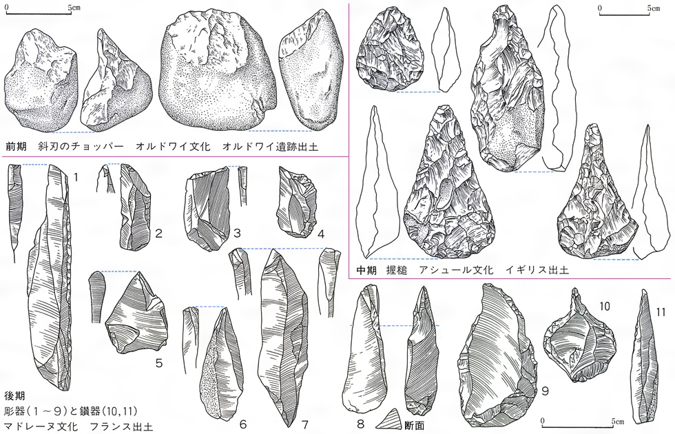 「中期旧石器時代」の画像検索結果