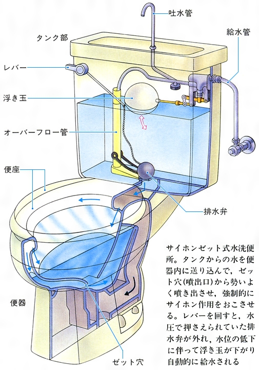 トップイメージカタログ 50+ 汲み取り 式 トイレ の 構造
