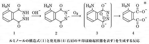 化学発光用色素（読み）かがくはっこうようしきそ（英語表記）dyes for chemiluminescence