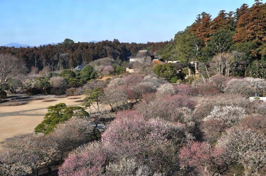 庭園(ていえん)とは？ 意味や使い方 - コトバンク