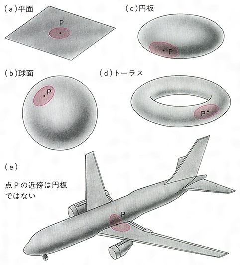 多様体(タヨウタイ)とは？ 意味や使い方 - コトバンク