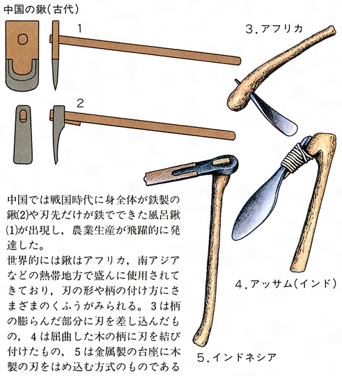 鍬とは コトバンク