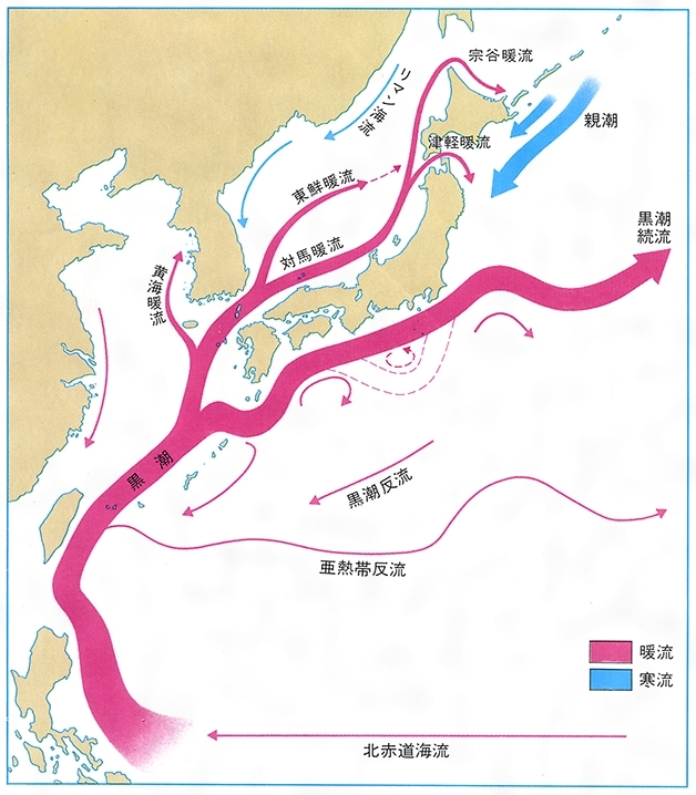 の 海流 日本 周り の 黒潮で日本の離島を救う海流発電が実用化に前進！