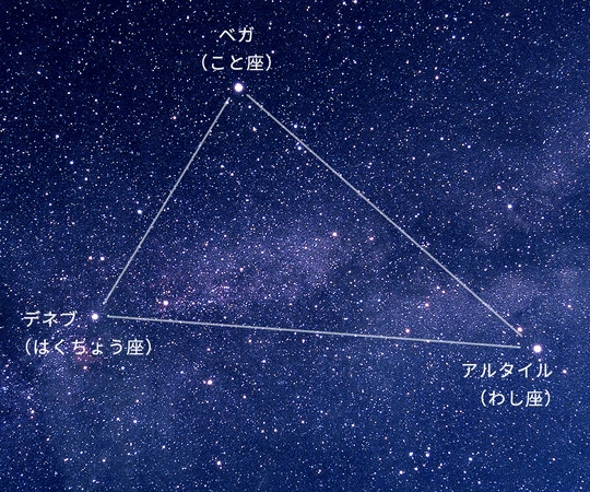 夏の大三角とは コトバンク
