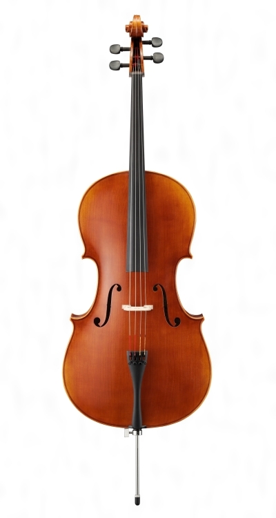 チェロ - ヴァイオリン属