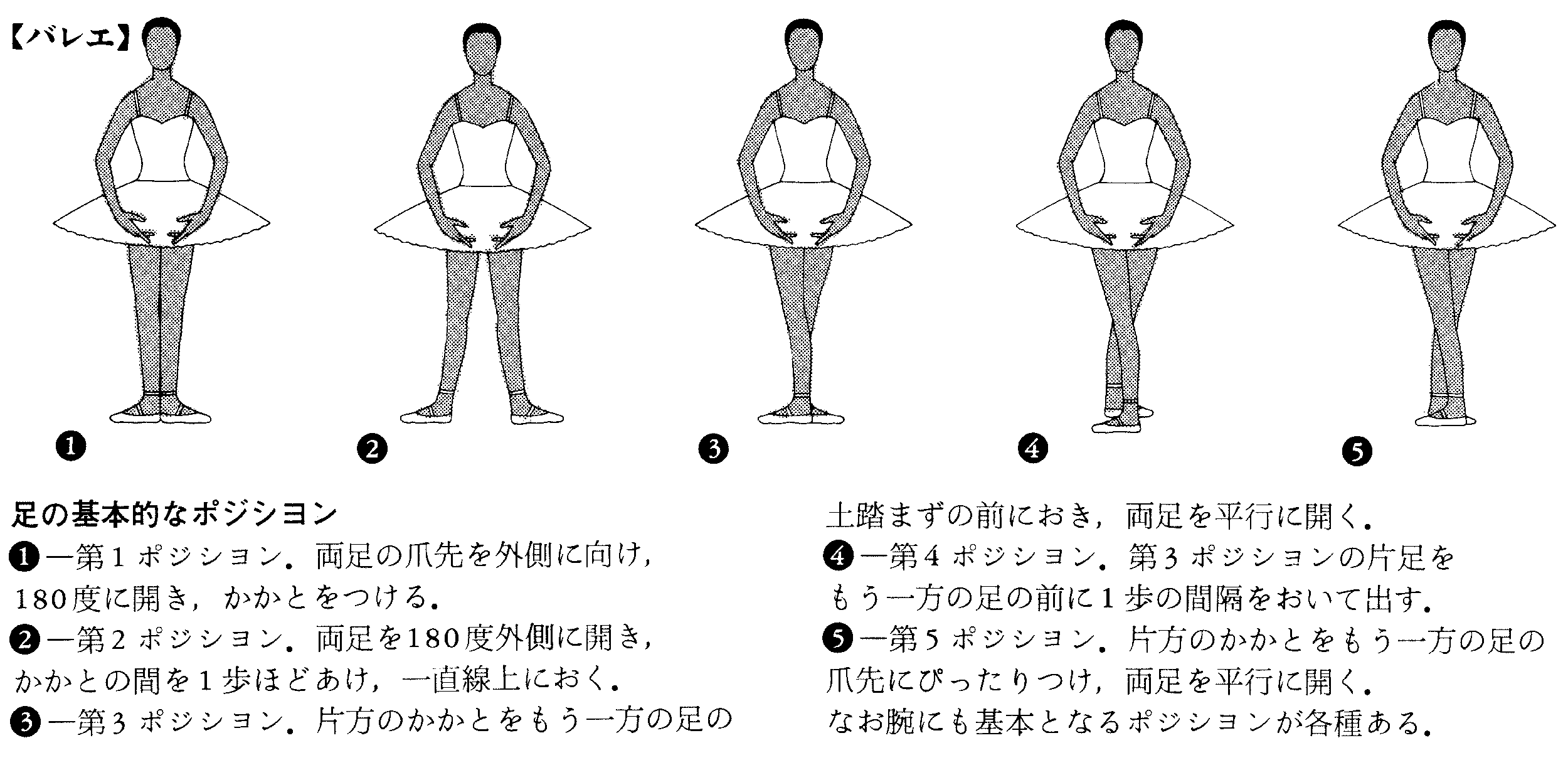 クラシック・バレエ 基礎技法と用語 - アート/エンタメ