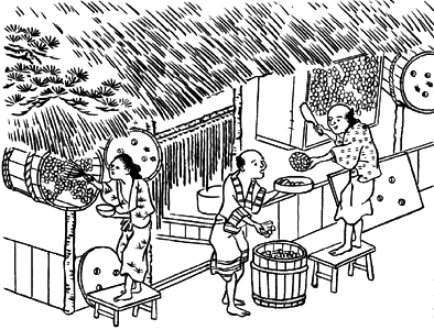 蜂蜜〈日本山海名産図会〉